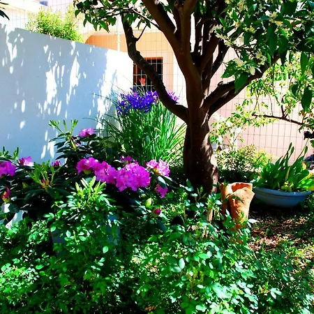 Summer Breeze Cavtat