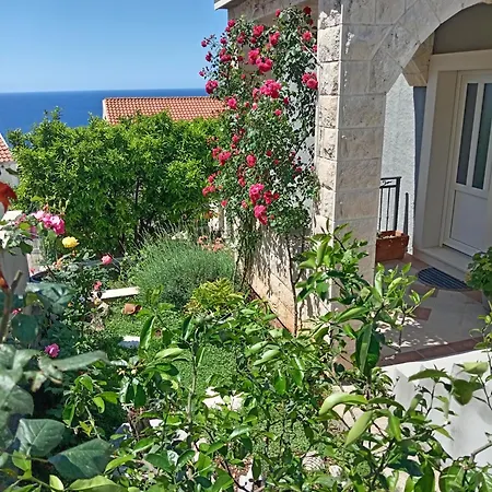 Summer Breeze Appartement