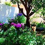 Summer Breeze Cavtat