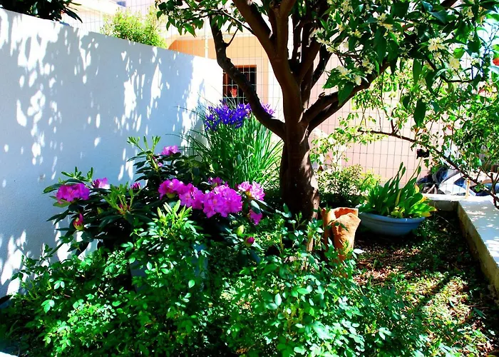 Summer Breeze Cavtat